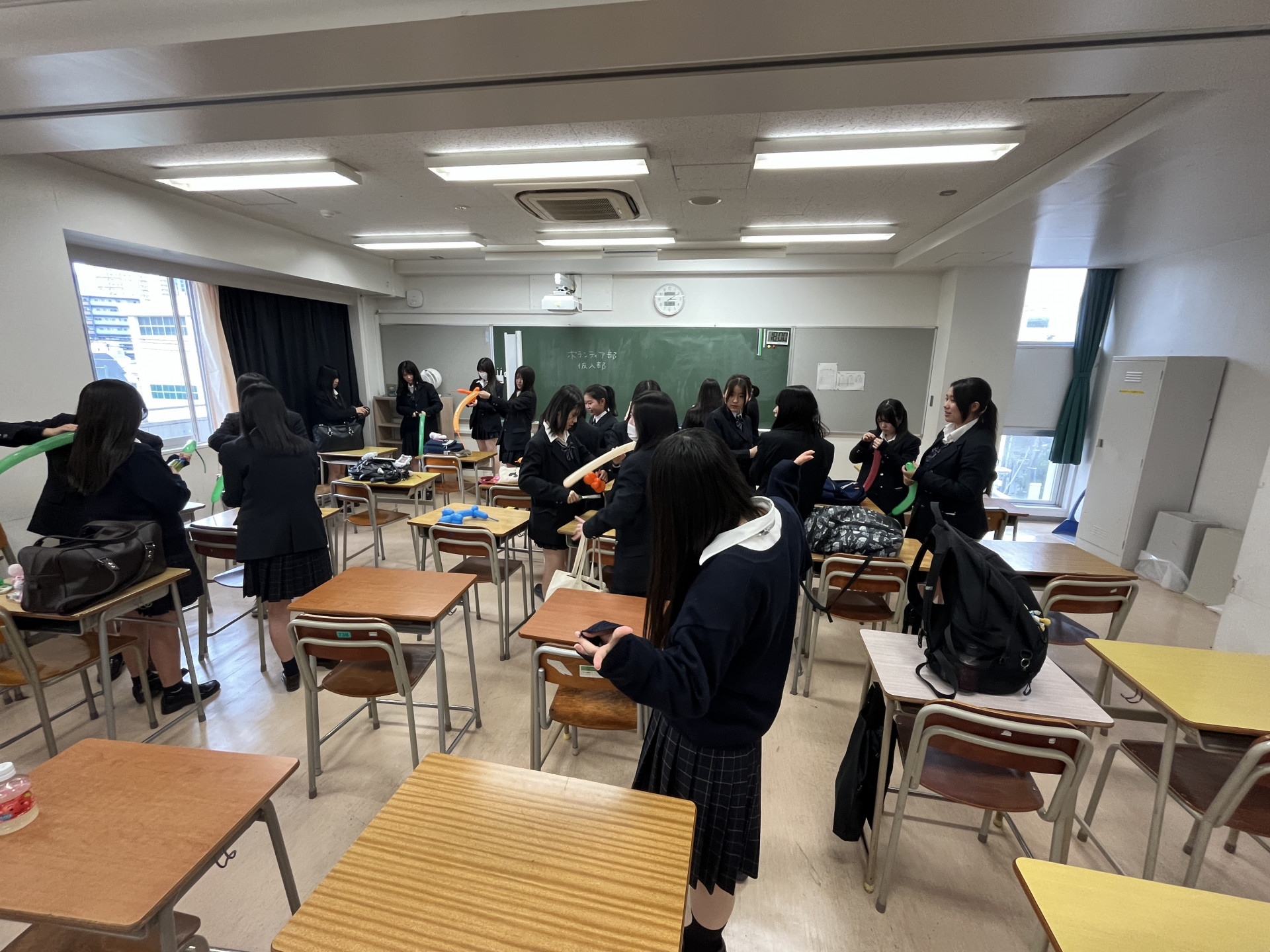 Image (1)